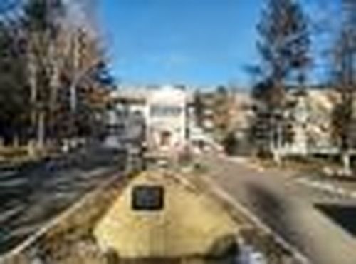 Наш дом родной — интернат