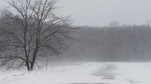 Жителей Тувы предупредили о сильном ветре и гололеде