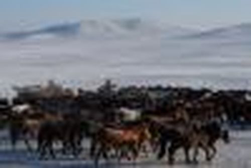 Сохранить по максимуму