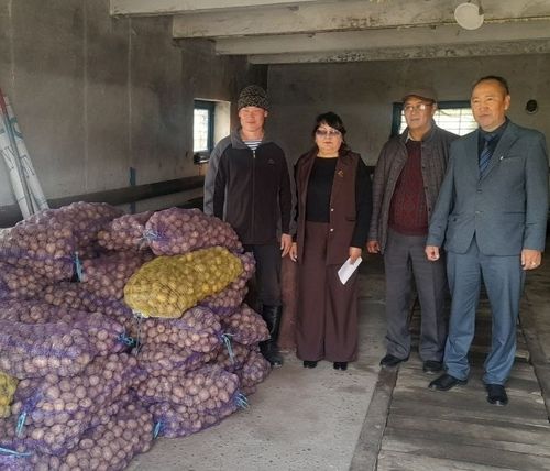 Өг-бүлениң шыгжамыры: Картофельди дамчыдарынга белеткээн