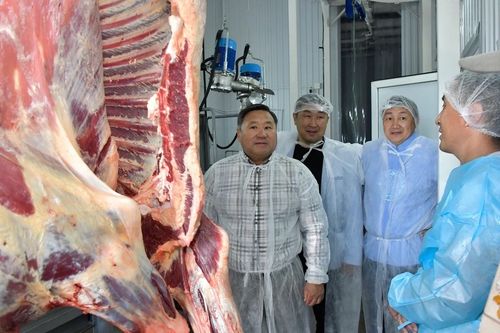 Сегодня Глава Тувы посетил убойный цех в Вавилинском затоне Кызыла