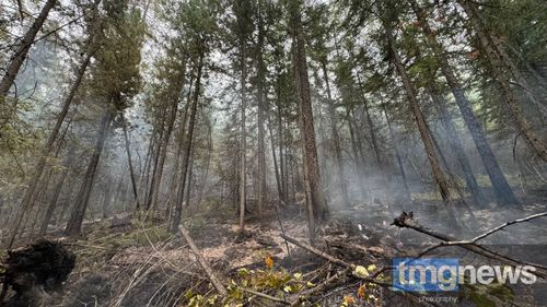 Противопожарный режим в Туве продлён до 7 июля