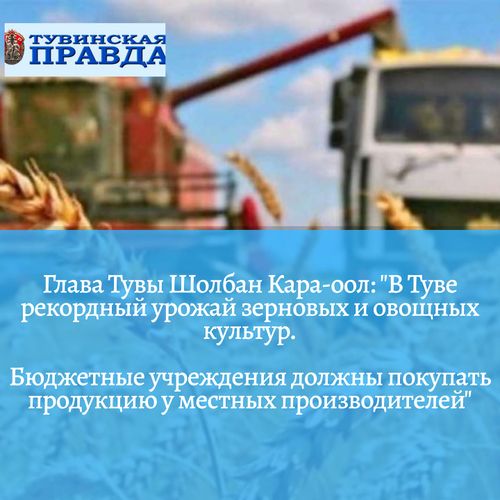 ШОЛБАН КАРА-ООЛ: "БЮДЖЕТНЫЕ ОРГАНИЗАЦИИ ДОЛЖНЫ ЗАКУПАТЬ ПРОДУКЦИЮ У МЕСТНЫХ ПРОИЗВОДИТЕЛЕЙ"
