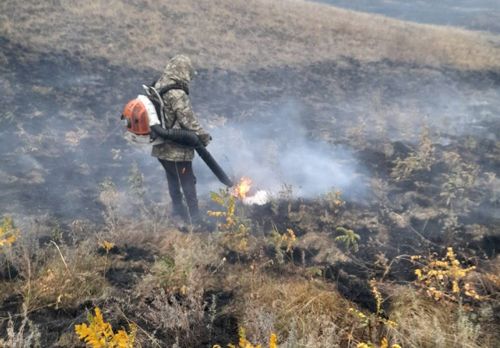 В Туве за сутки ликвидировано четыре лесных пожара