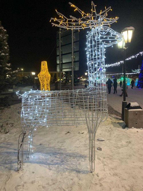 К главной елке Тувы наведались вандалы