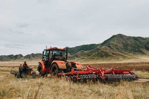 В Туве завершилась посевная кампания⠀