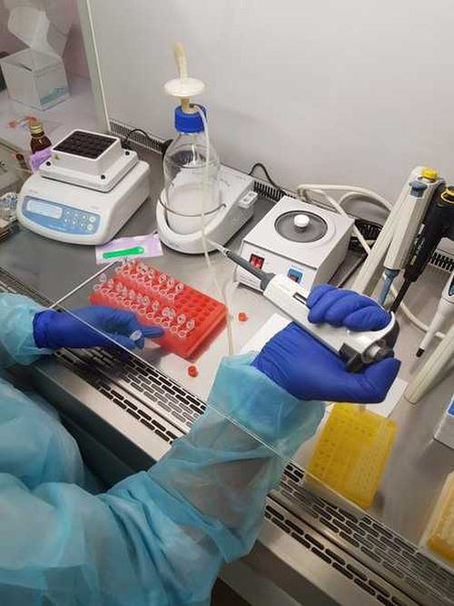 Эпидситуация по Туве