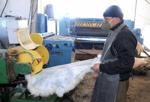 В Туве реализуется Индивидуальная программа социально-экономического развития