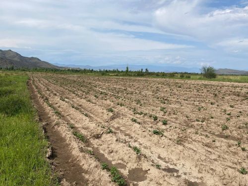 В Чаа-Хольском районе реализуется проект «Кладовая семьи»