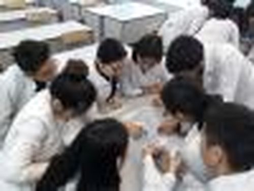 Конституцию должен знать каждый