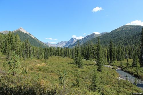 Центр защиты леса Республики Тыва информирует!