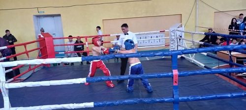 Спорт сильных и отважных