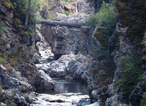 Июнь 17-ден эгелээш хөлдерже база Дүрген шуралгаанче барганының төлевирлерин чыыр