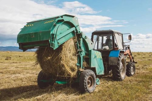 10 районов Тувы приступили к кормозаготовительной кампании