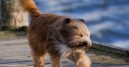 Штормовое предупреждение на 18 апреля