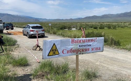Сибирь язвазындан карантинни чарлаан