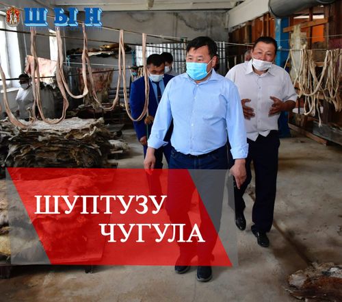 АЖЫЛ-ИШЧИ, ХҮНДҮЛЭЭЧЕЛ ЭРЗИН, ТЕС-ХЕМ