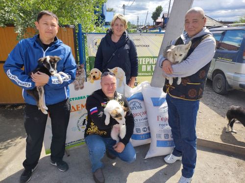 Партийный десант посетил приют для бездомных животных "Хатико"