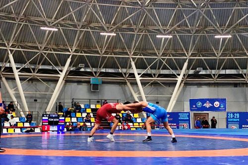 В Кызыле пройдут армейские соревнования по спортивной борьбе