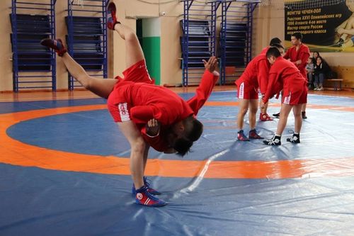 Глава Тувы поздравил спортсменов и тренерский состав республики с Днем самбо