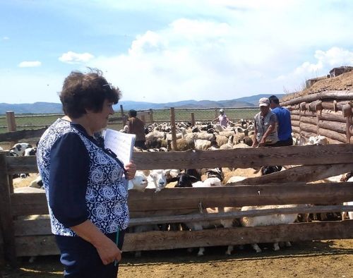 Ойдуптарның салгал дамчып келген ажыл-ижи