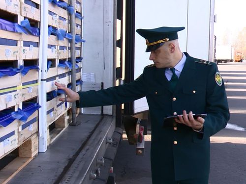 Сегодня Международный день таможенника