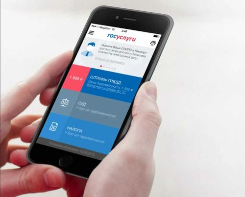 Всероссийскую перепись на портале «Госуслуги» продлили до 14 ноября