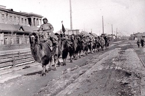 Две тысячи русских граждан не подчинены никакой власти