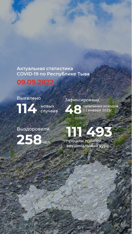 В Туве с 1 января зарегистрировано 19725 лабораторно подтвержденных случаев инфицирования ковидом