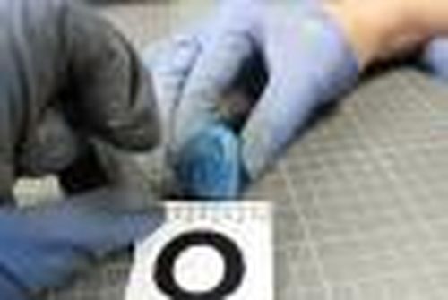 И гашишное масло…