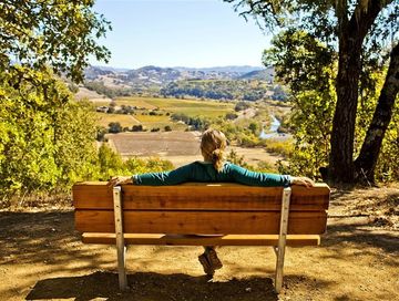 Далашпа даан, бичии мана