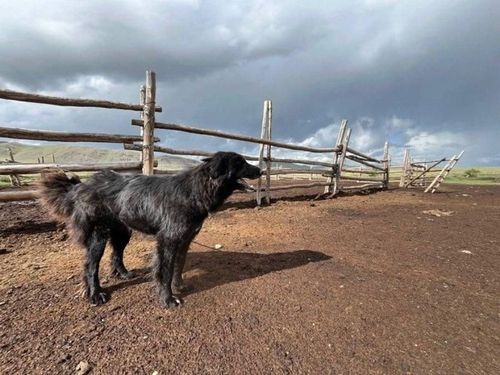 На грани исчезновения