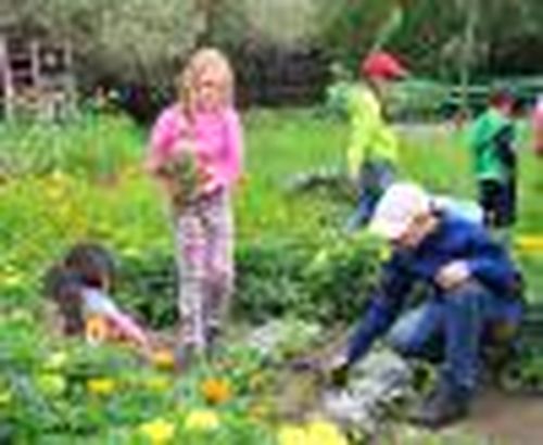 Прополка — дело тонкое