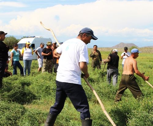В Туве объявлен конкурс на выявление лучшей бригады ручных косарей