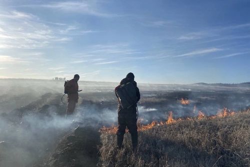 В Туве более 300 человек тушат лесные пожары