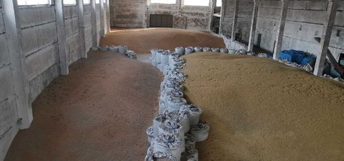 Хозяйство фермера Санникова планирует расширяться 