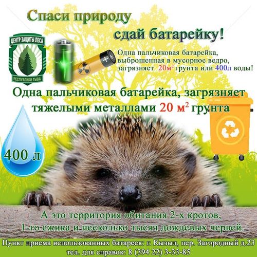 Центр защиты леса Республики Тыва подвел итоги акции «Спаси природу сдай батарейку» за 2020 год
