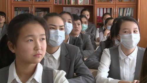 Коронавирус: Как дети будут учиться в школах?