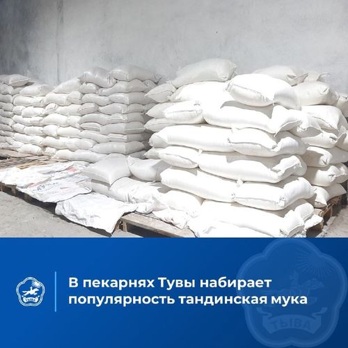 Мука Санникова особой популярностью пользуется в Тандинском и Монгун-Тайгинском районах