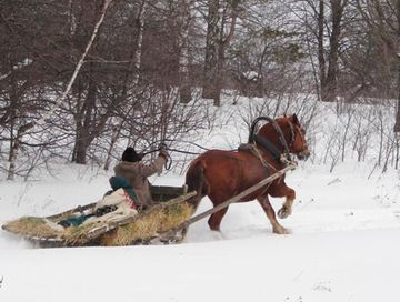 Бир-ле кыжын…