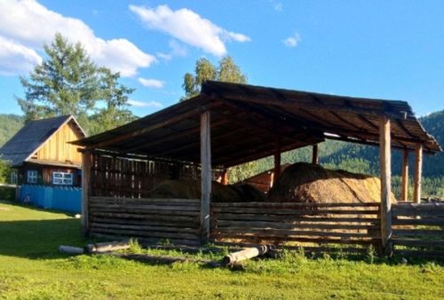 Үжеп-Аксында мал чеминиң белеткели доозулган