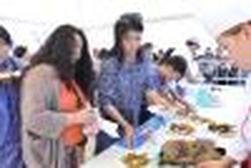 Хороша — баранина наша!