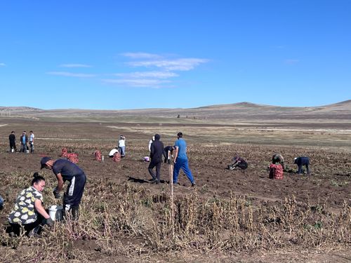 В Туве отметили праздник урожая: СПОК «Земля Надежды» объединил более 100 семей