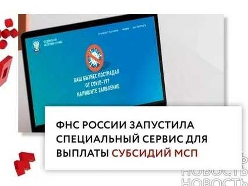 Какие субсидии могут получить предприятия, пострадавшие из-за коронавируса?