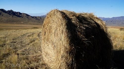 Памятка о правилах пожарной безопасности и поведения на сенокосе