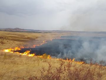 С начала пожароопасного сезона в Туве зарегистрировали восемь степных пожаров