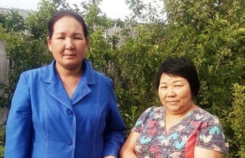 Садчыгаштан кат-чимис чыып…