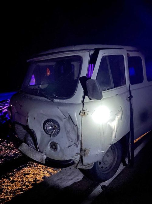 В Туве корова спровоцировала два ДТП