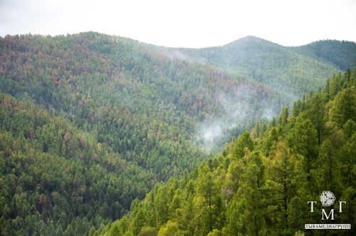 В Туве сократилась площадь лесных пожаров до 2,6 тыс. га