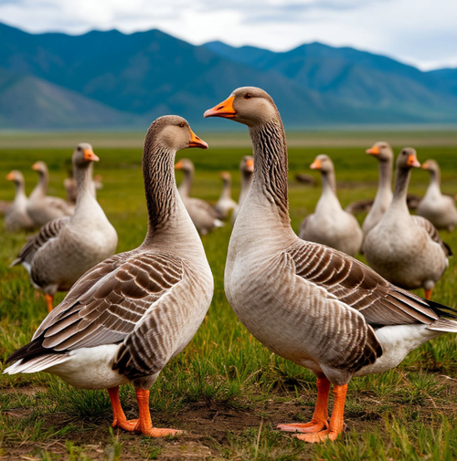 Ведение реестра животных и осуществление профилактических и лечебных мероприятий в компоненте «Хорриот»